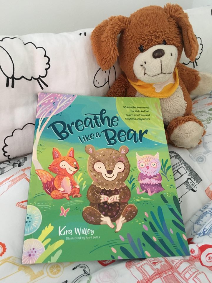 Breathe Like a Bear book, worth £9.99  image