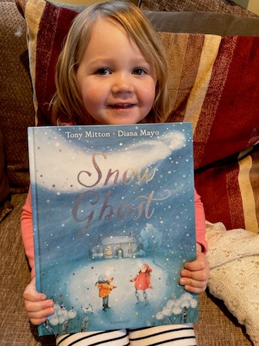 Book Review: Snow Ghost by Tony Mitton, worth £12.99  image