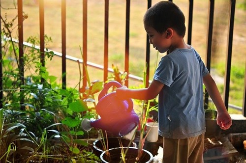 How to grow herbs and veg with kids   image