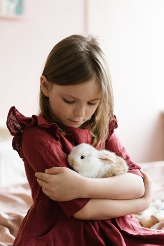 The Best Pets for Toddlers  image