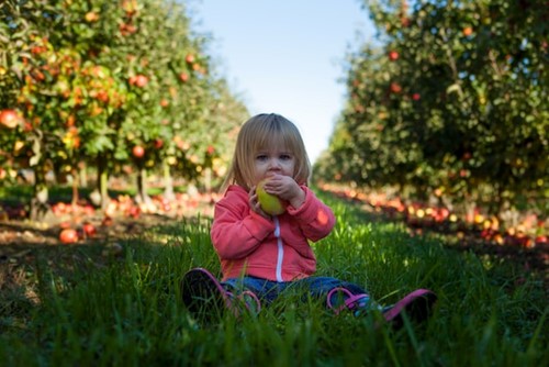 Snack Saving Tips for Parents  image