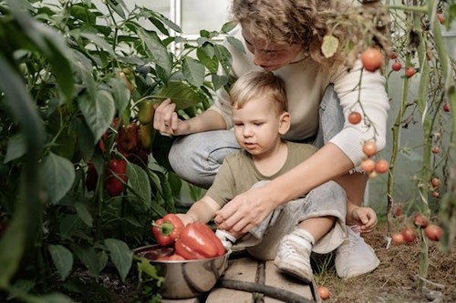 Sensory Garden