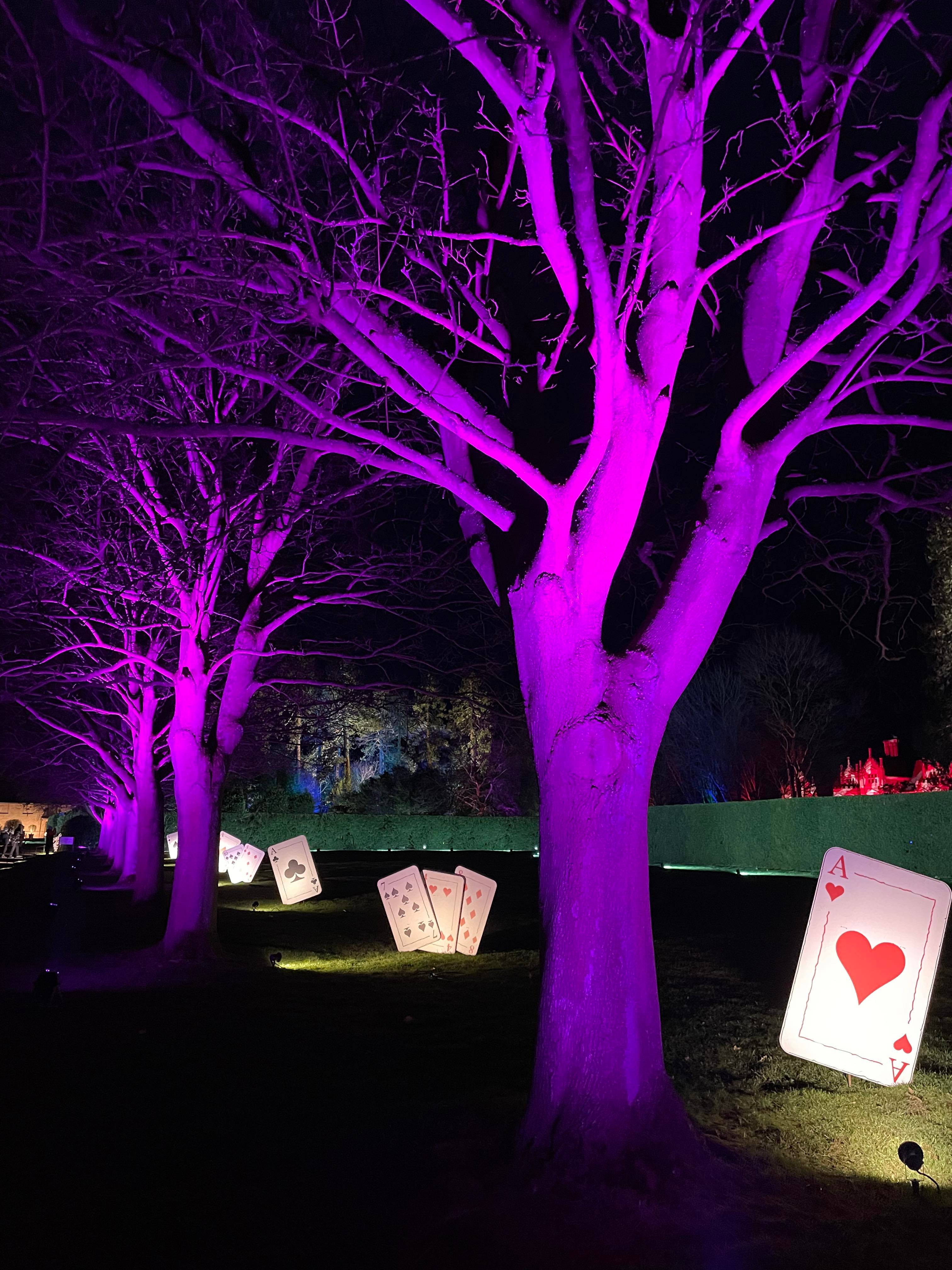 Review: Spectacle of Light Haughley Park  image