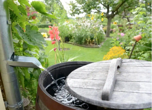 Integrating Water Tanks into Toddler-Friendly Landscapes  image