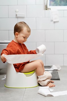 TikTok Hacks for Toilet Training Your Toddler  image