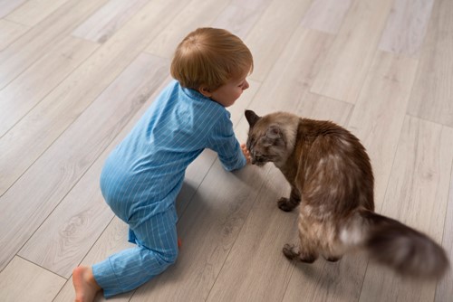 Why Wireless Cat Water Fountains Safe With Toddlers Around  image