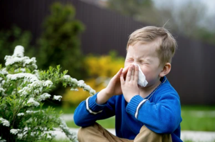 Protecting Your Little Ones: The Benefits of Allergy Drops for Kids  image