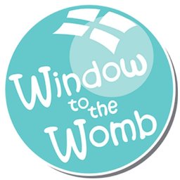 EXHIBITOR: Window to the Womb Cambridge