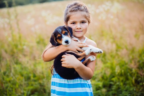 How to Safely Introduce Children to Dogs and Other Pets  image