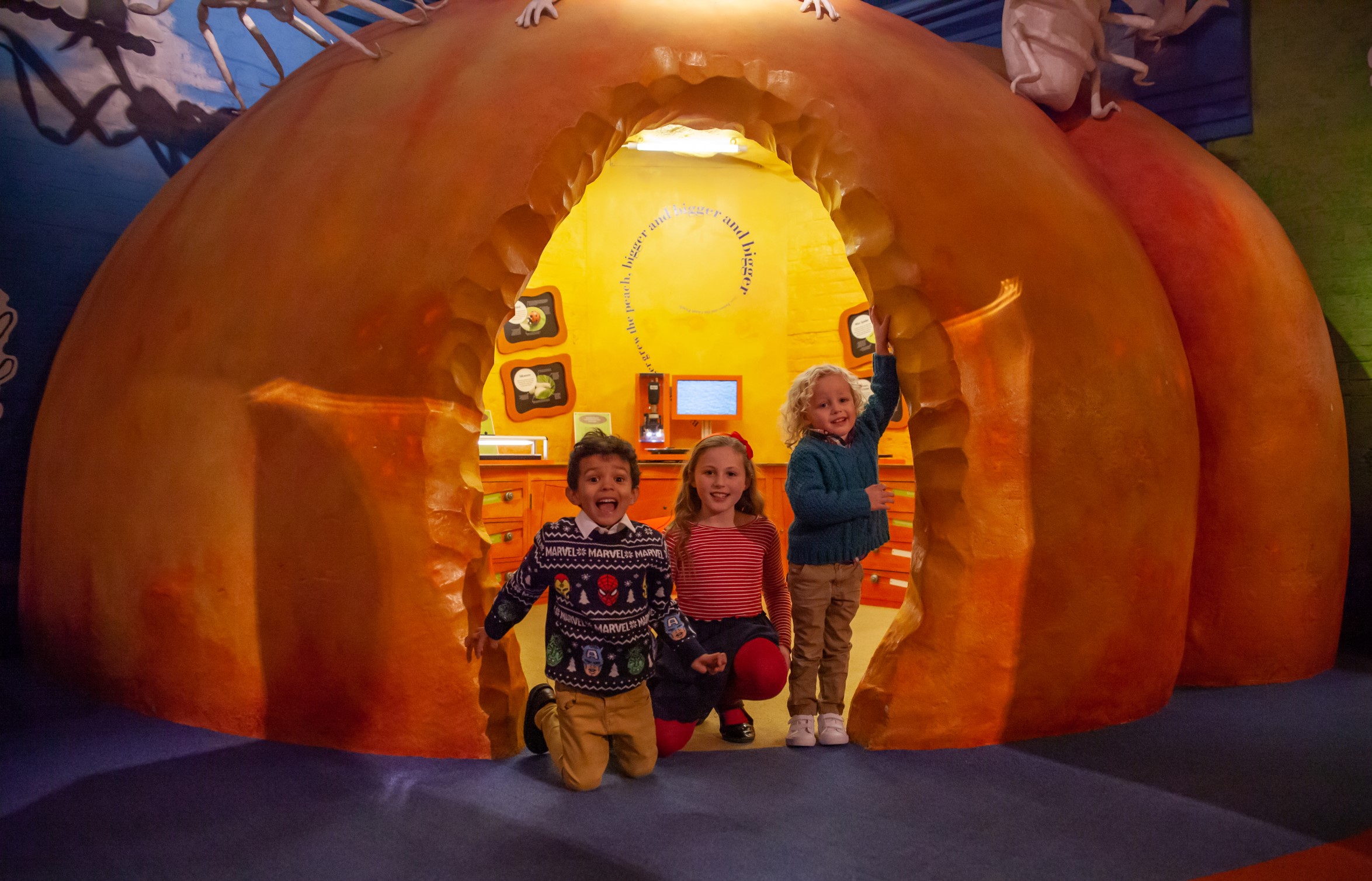 Discover the Magic of the Roald Dahl Children’s Gallery in Aylesbury  image