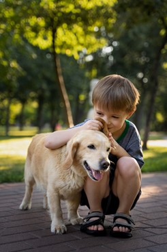 How to Create a Safe Home with Dogs and Toddlers  image