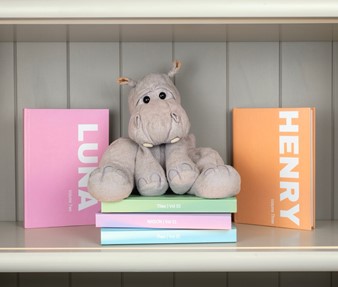 Review: Little Life Stories Membership, worth £79  image