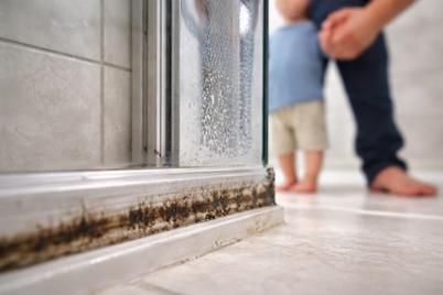 The Invisible Trigger: Why Mouldy Shower Seals Could Be Behind Your Child’s Allergies  image