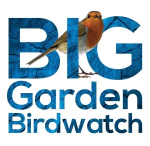 RSPB-big-garden-birdwatch